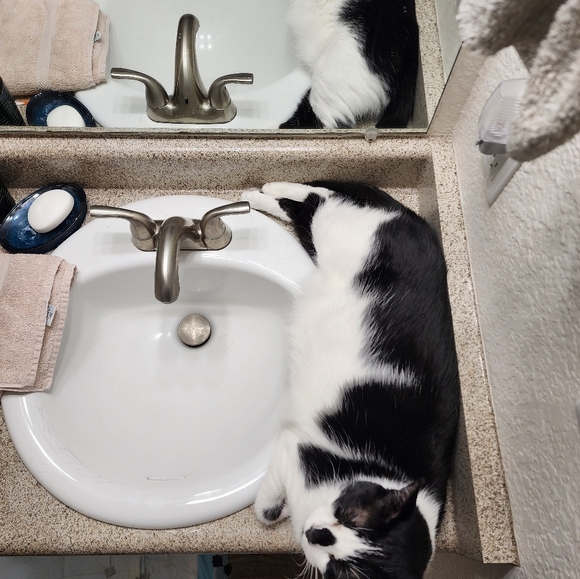 Clothing - Picture 5 of 12